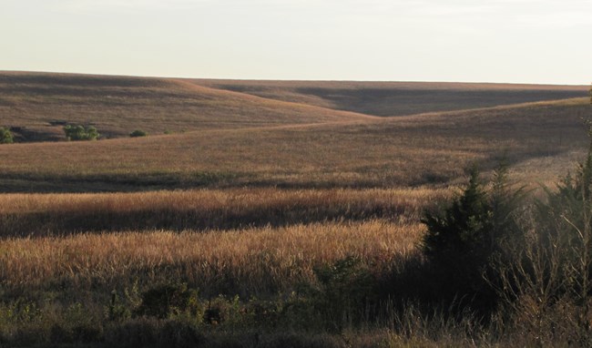 Hills catch evening sunlight at Tallgrass Prairie National Preserve