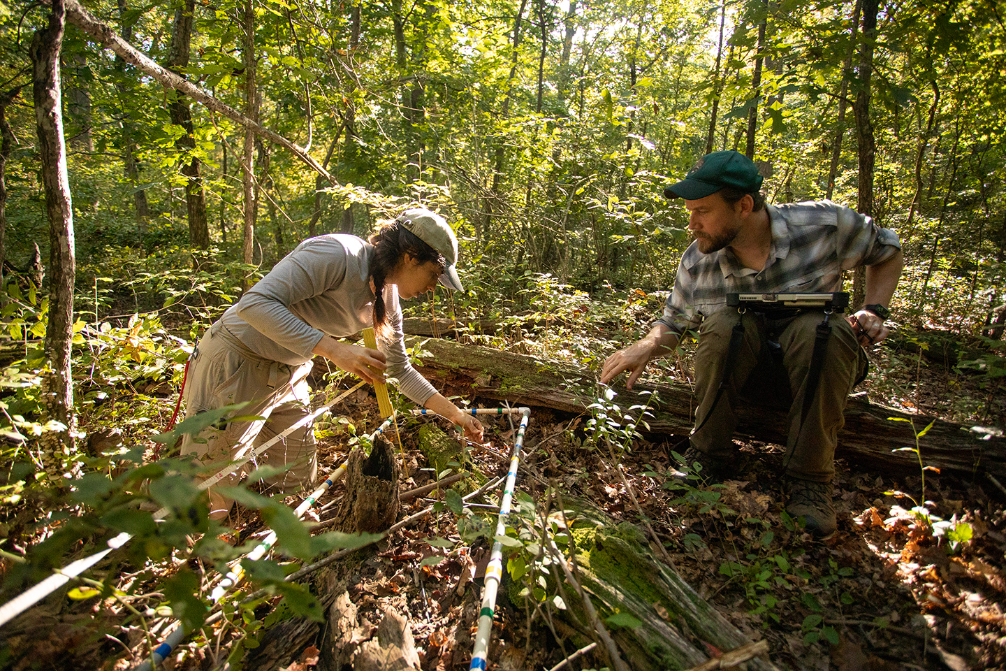 Two biologists kneel next to a quad (a rectangular PVC frame) and examine the plants growing within its boundaries.