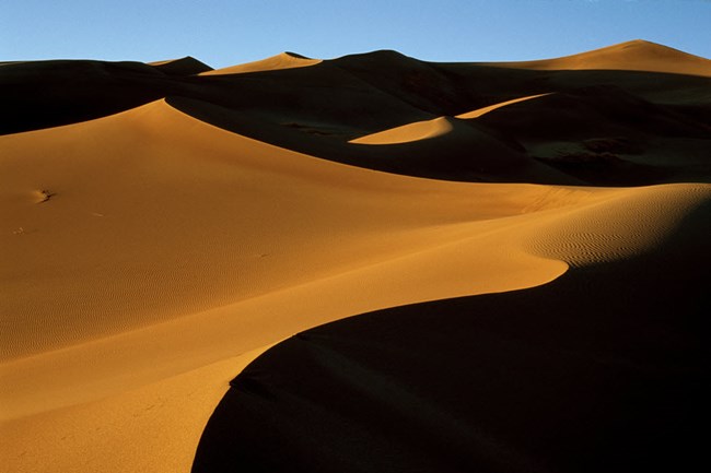 Sand dunes in high contrast light and shadow