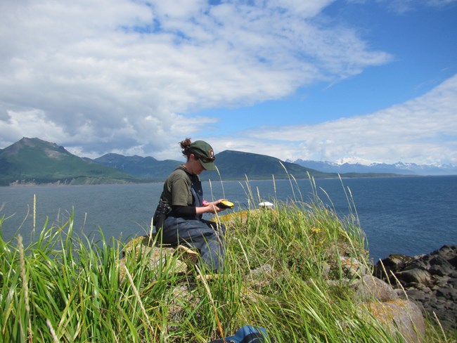Park ranger recording sitting on a grassy ledge overlooking a lake, recording data in a field notebook