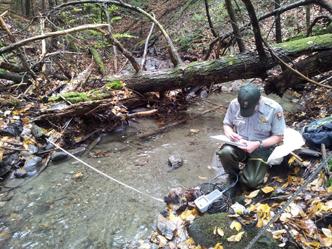 NPS technician next to a stream collecting and recording data