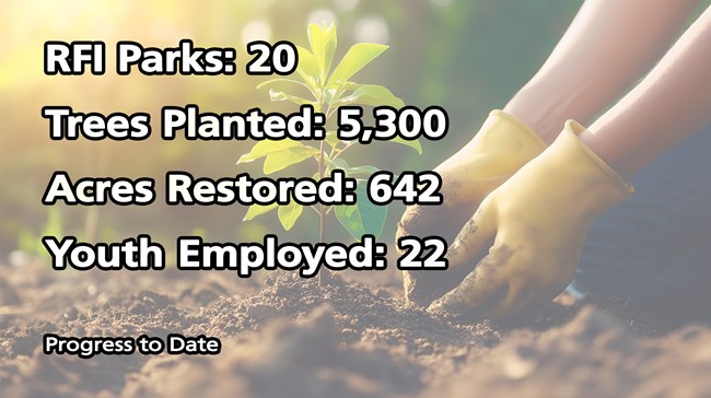 Photo of gloved hands planting a tree. Text says "RFI Parks: 20; Trees Planted: 5,300; Acres Restored: 642; Youth Employed: 22; Progress to Date"