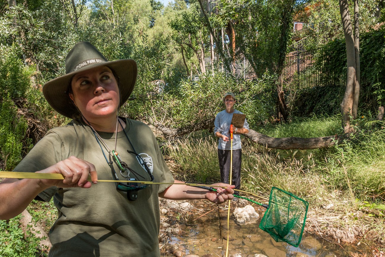 Biologists with measuring devices, a net, and a clipboard surveying a stream