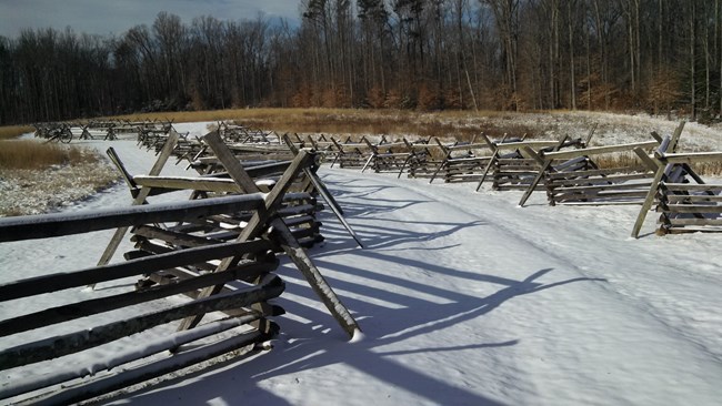 Stacked wood fences through a snow-covered meadow lined with trees