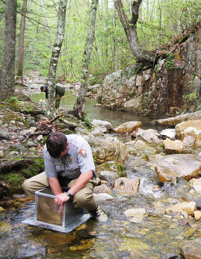 Two people in a shallow creek using a net (background) and a box-like device (foreground) to sample benthic invertebrates
