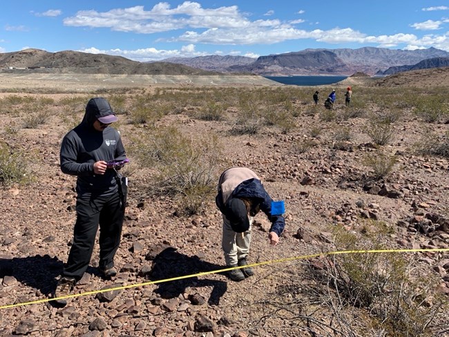 One person places pin flag along stretched out tape measure into sparse desert vegetation while second person records data.