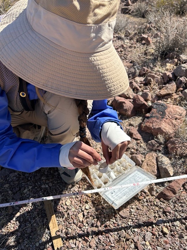 Woman in field clothing and sun hat kneeling over plastic box with small samples of soil in little containers