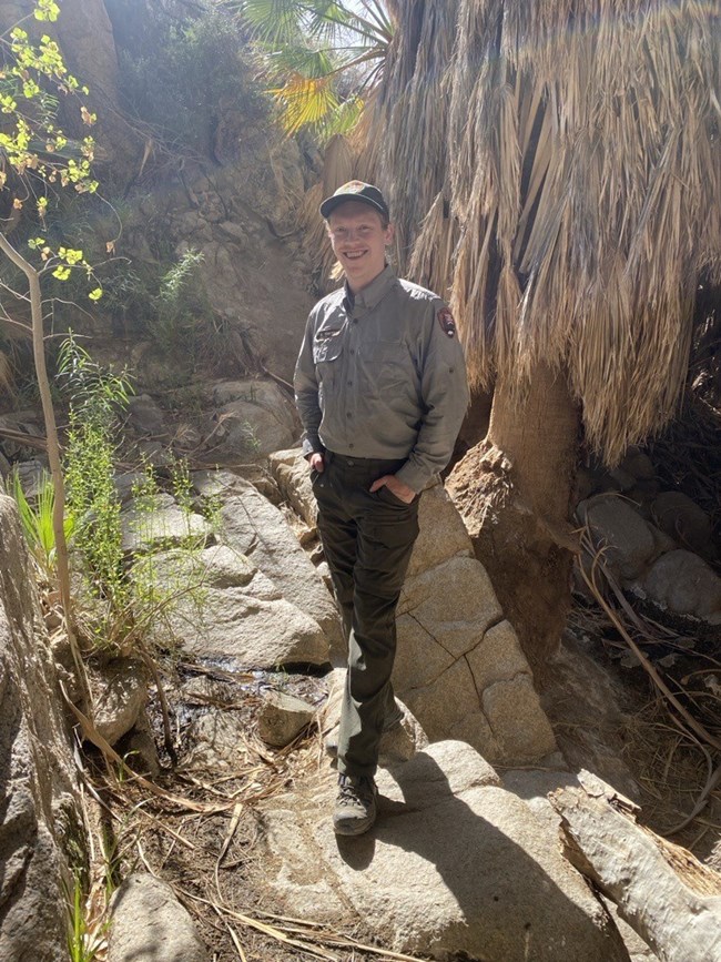Man in park service uniform standing next to a desert palm.