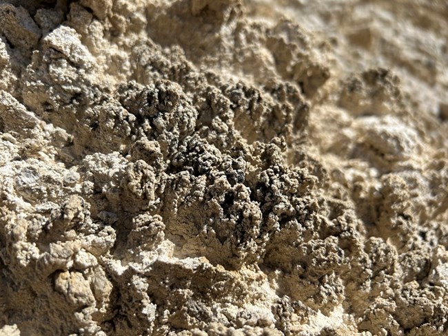 Light brown crumbly looking soil