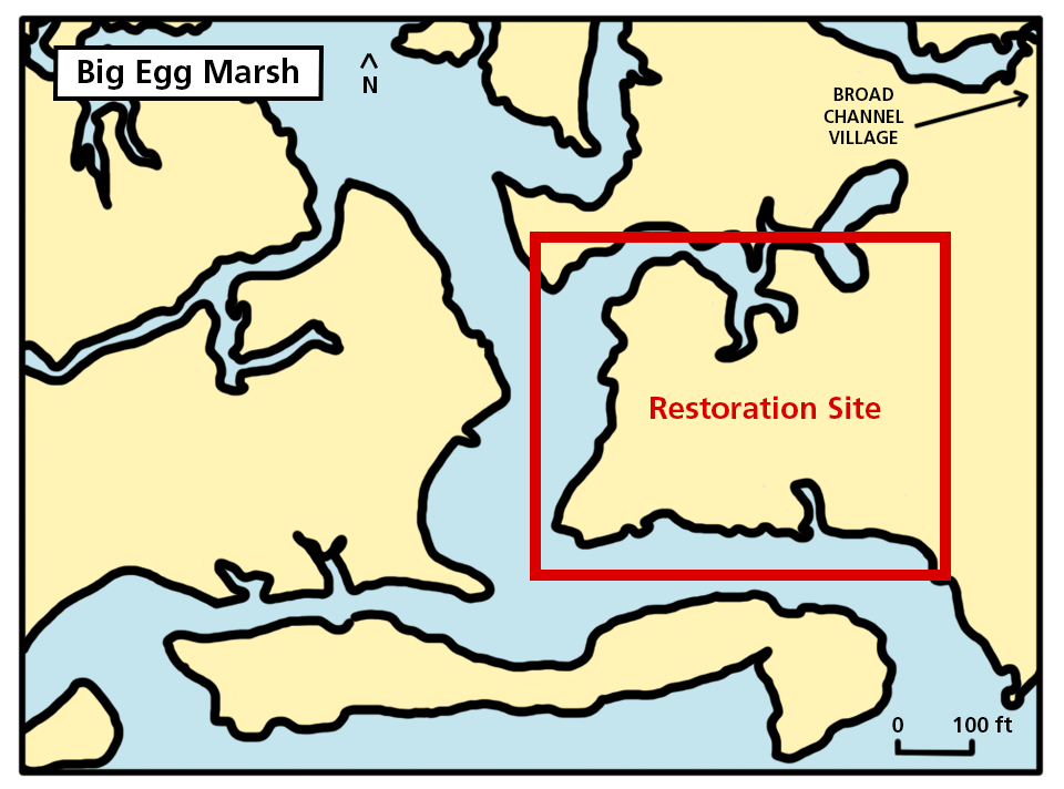 Map of Big Egg Marsh with red rectangle in center right to outline restoration site