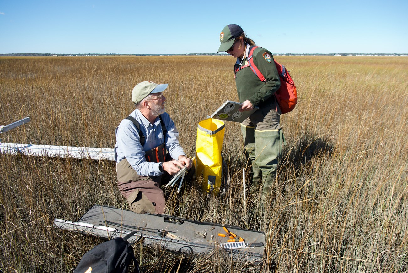A biologist kneels in a salt marsh, looking at a clipboard that another scientist is holding