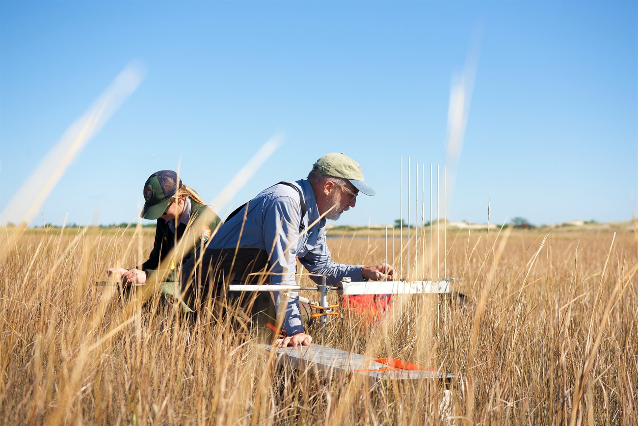 Two scientists sit on a makeshift bench in a salt marsh, facing away from each other. One takes notes, the other handles a long metal equipment