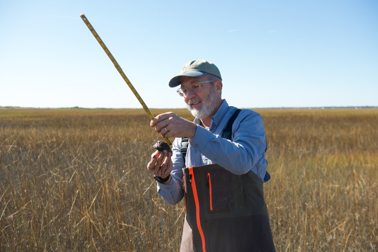 A biologist holds a block of soil in his right hand and measures it with a meter stick held in his left hand