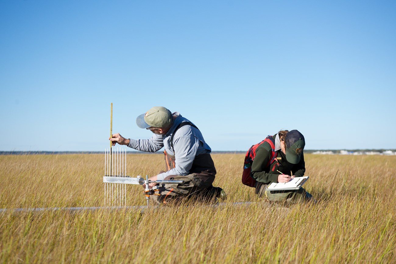 One field crew member kneels on a metal plank, measuring long thin poles of a metal field instrument. Another sits to the right recording notes on a clipboard
