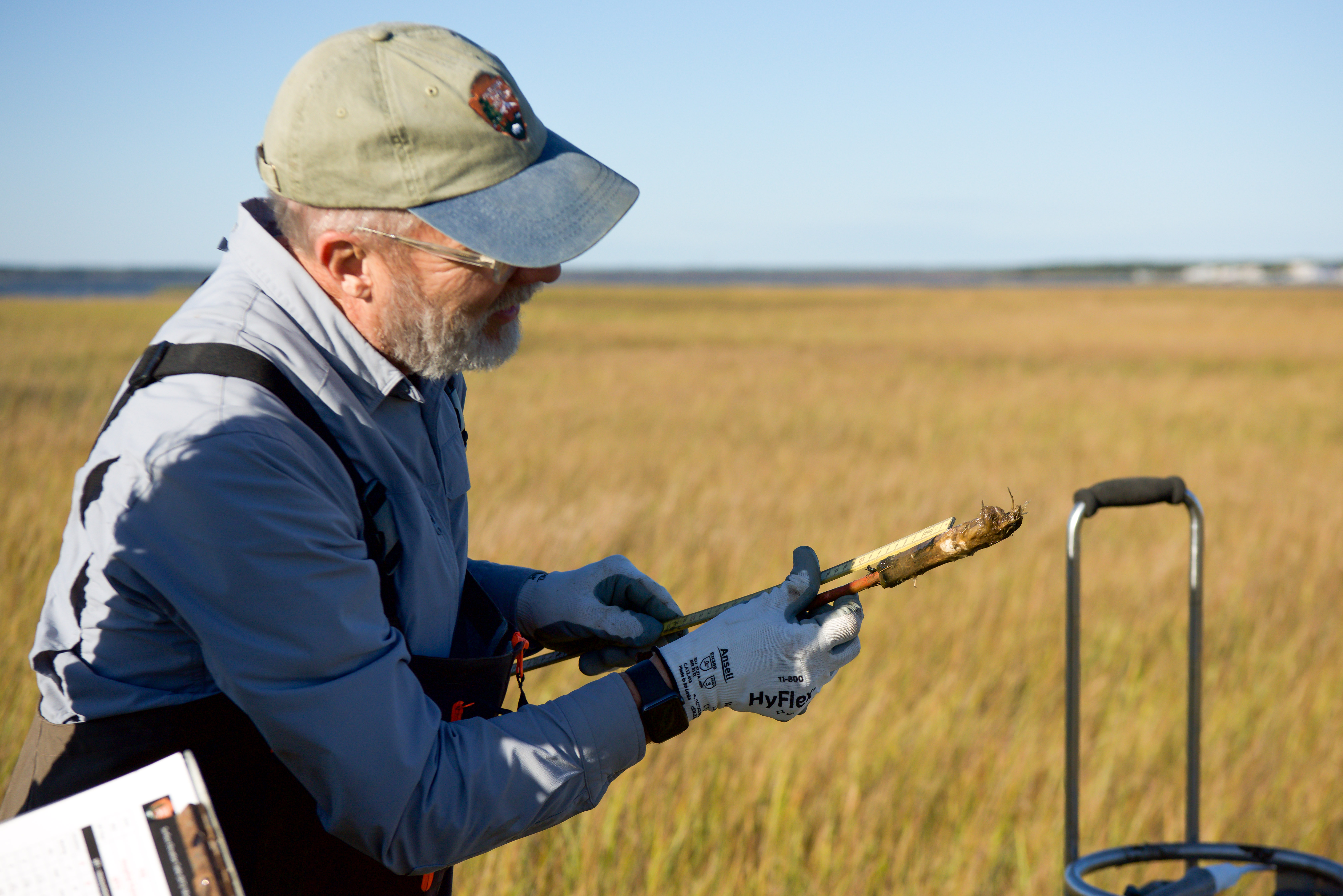 A field crew member holds a metal rod with soil on it and measures the rod with a yellow meter stick