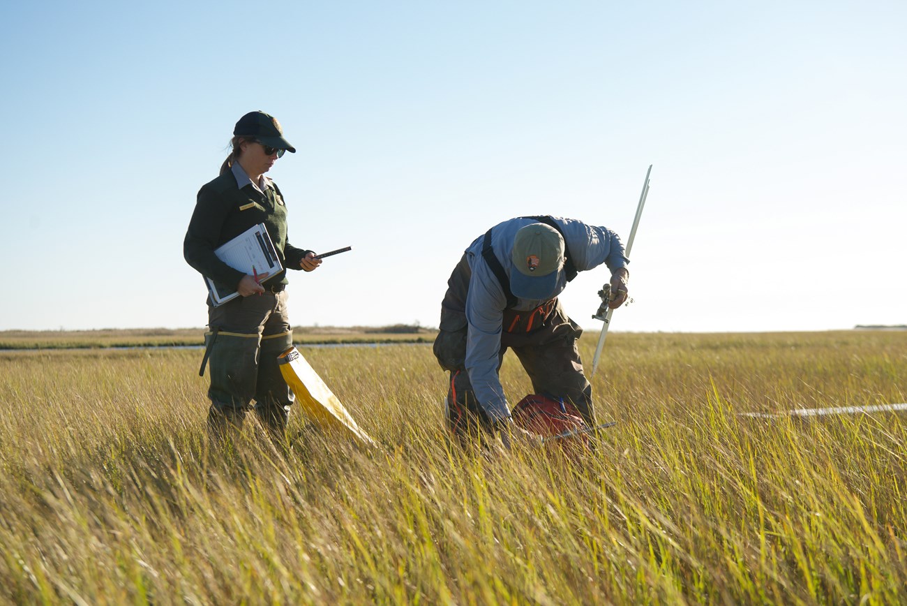 Two field crew members in a marsh, one holds a clipboard and the other holds a metal equipment with long poles