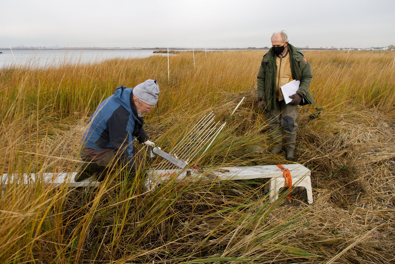 A field crew member sets up equipment in a salt marsh, while a park scientist stands nearby with a clipboard
