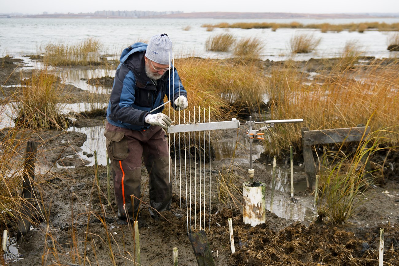 A biologist stands next to a tall metal equipment with long thin poles running through it, in a muddy salt marsh