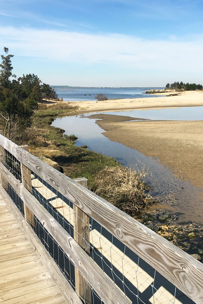 A boardwalk by a sandy shore with shallow waters and lined with trees