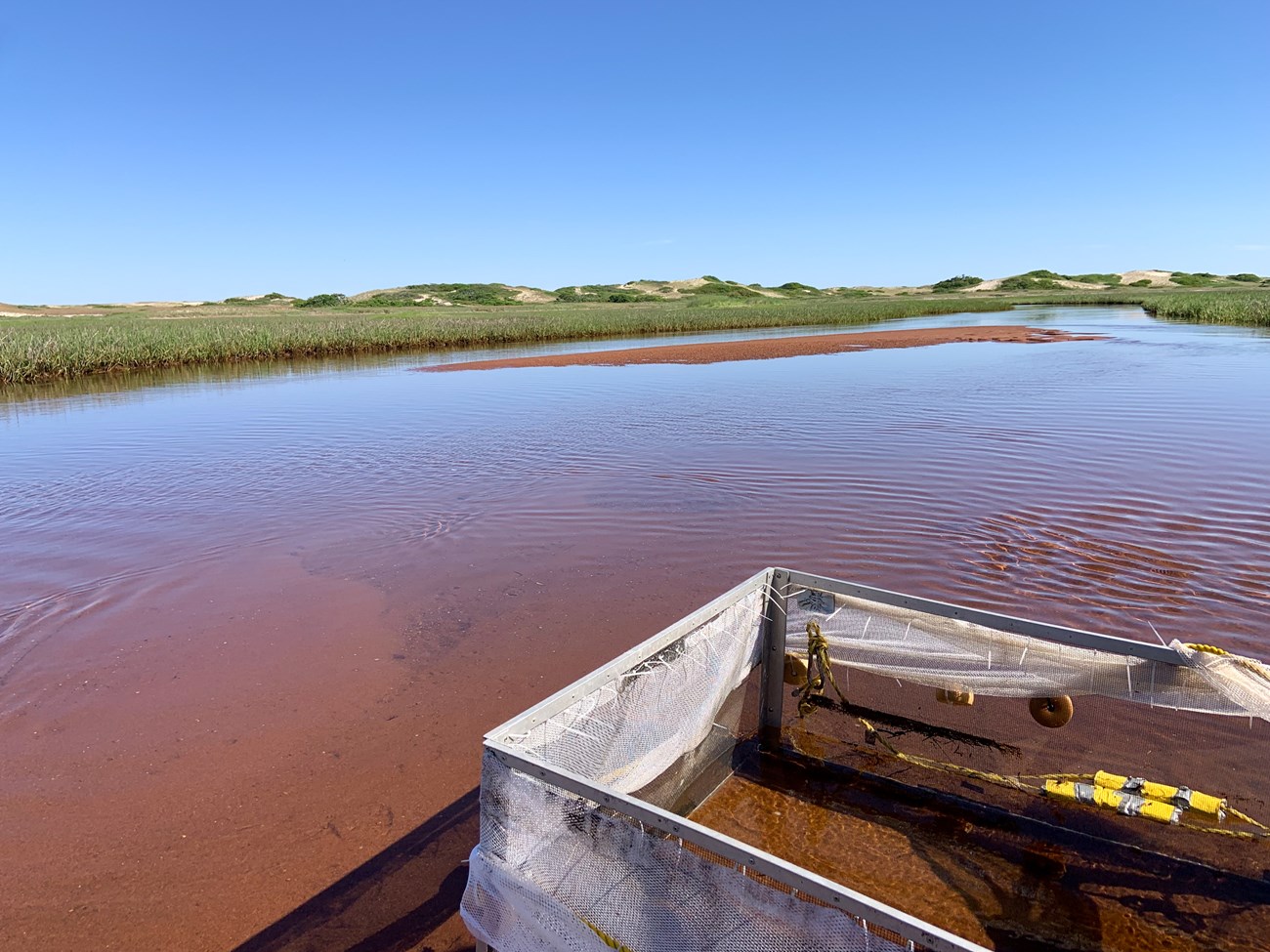 A square, netted frame stands in a shallow river with reddish sand. Vegetated sand dunes frame the background