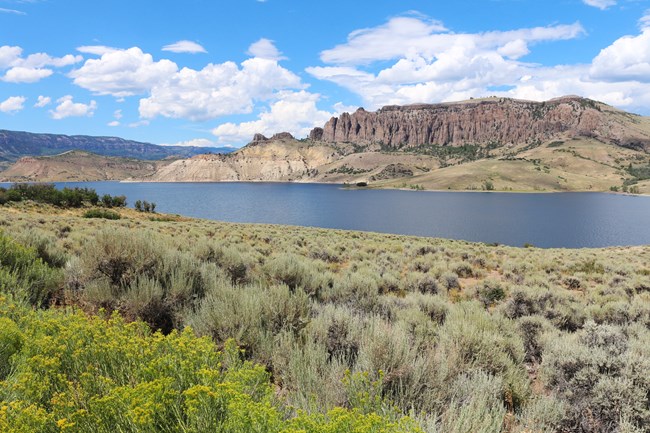Blue Mesa Reservoir and Dillon Pinnacles viewed from sagebrush-covered southern shore.
