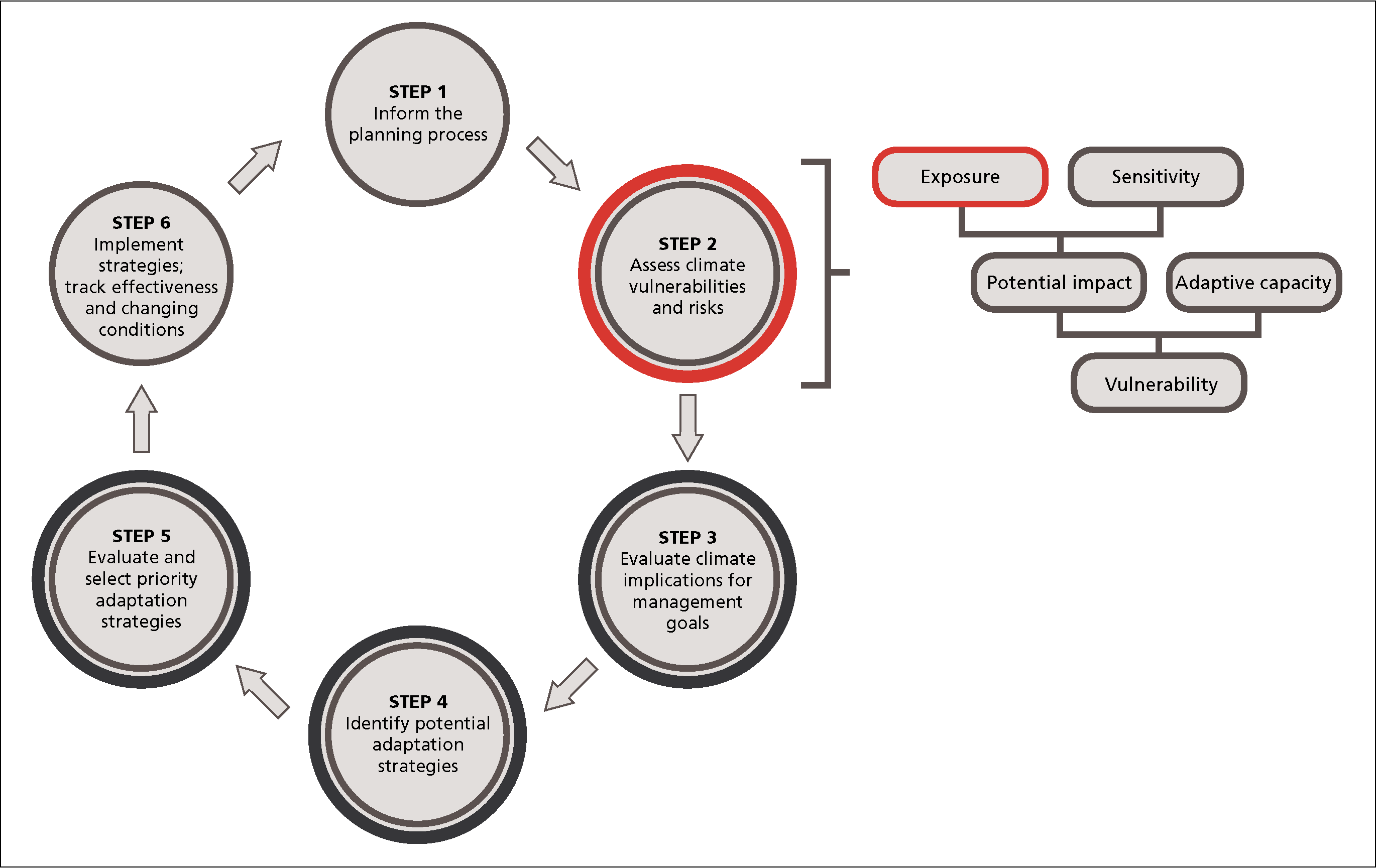 Graphic of a six-step cycle with five sub-steps. Step 2, “Assess climate vulnerabilities and risks,” is circled in red, and a bracket points to the five substeps. The first, “Exposure,” is circled in red.