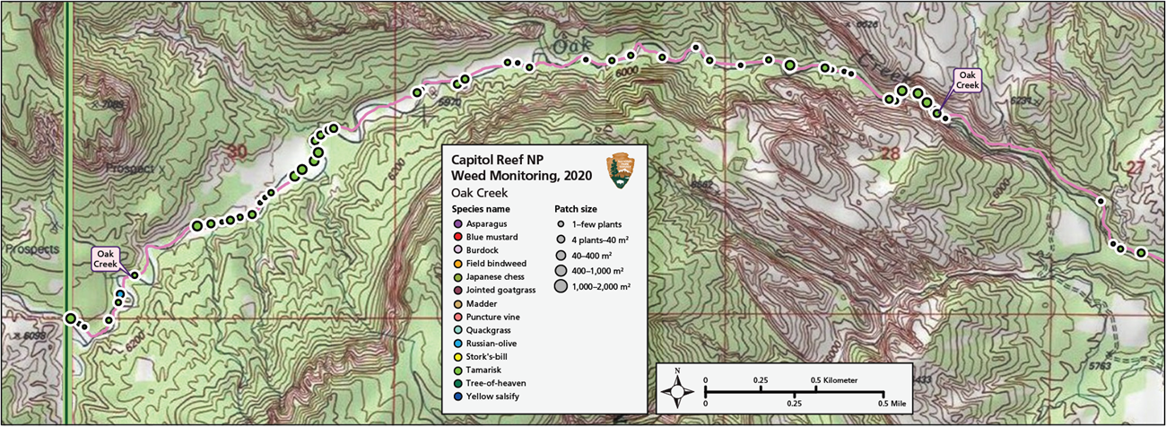 Route map with green dots representing weed patches