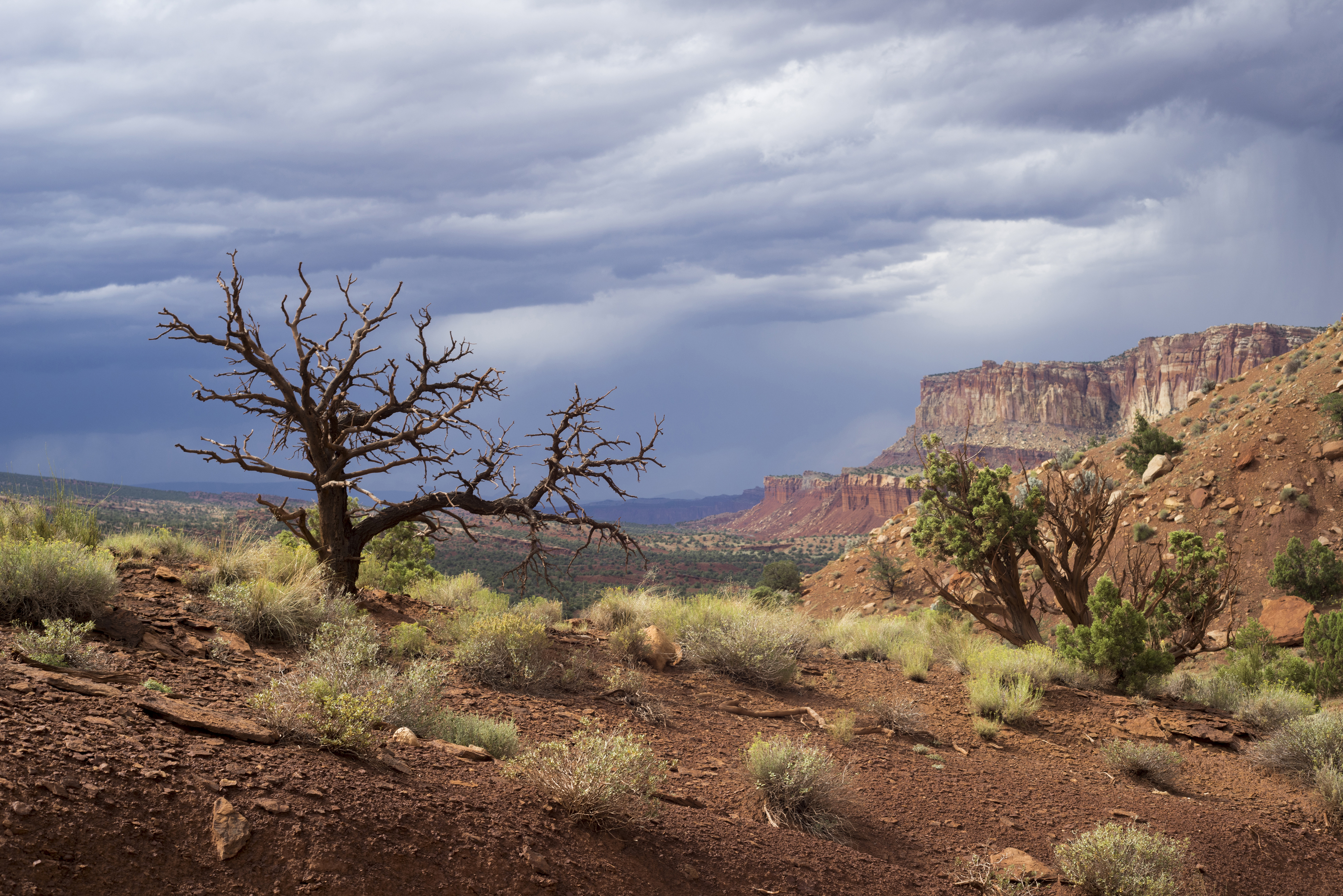 Thunderclouds over vast red rock landscape with junipers.