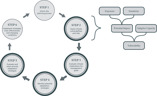 Flow chart showing steps of Climate Smart Conservation process