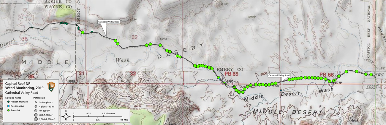 Road map with green dots representing weed patches