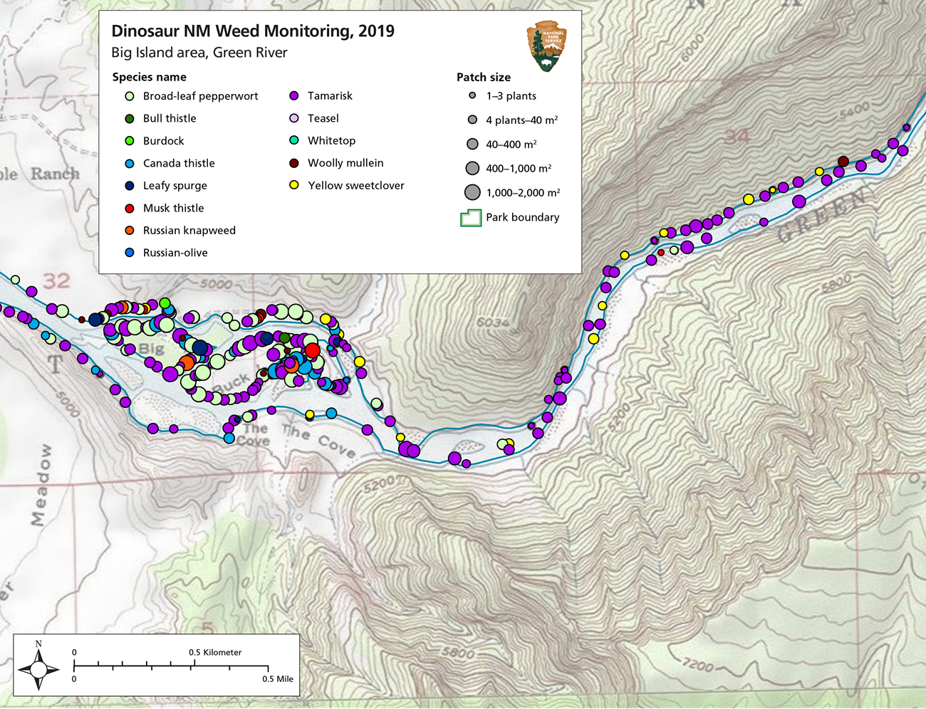 Colored dots showing location of invasive patches on topo map