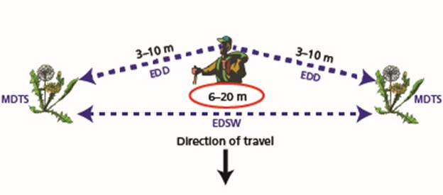 Diagram showing detection swath width and detection distance from a surveyor’s position.