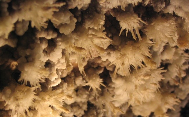 Delicate needle-like frostwork formations growing on a cave wall.