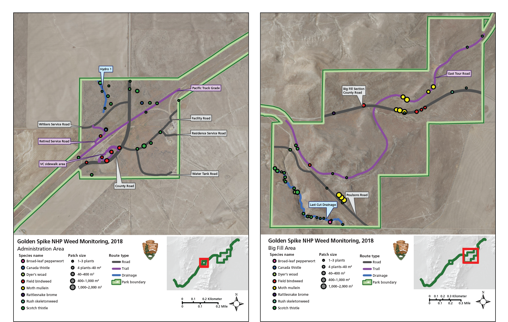 Maps of monitoring areas. Monitoring routes are marked, and color- and size-coded circles indicate the type and location of invasive-plant patches.