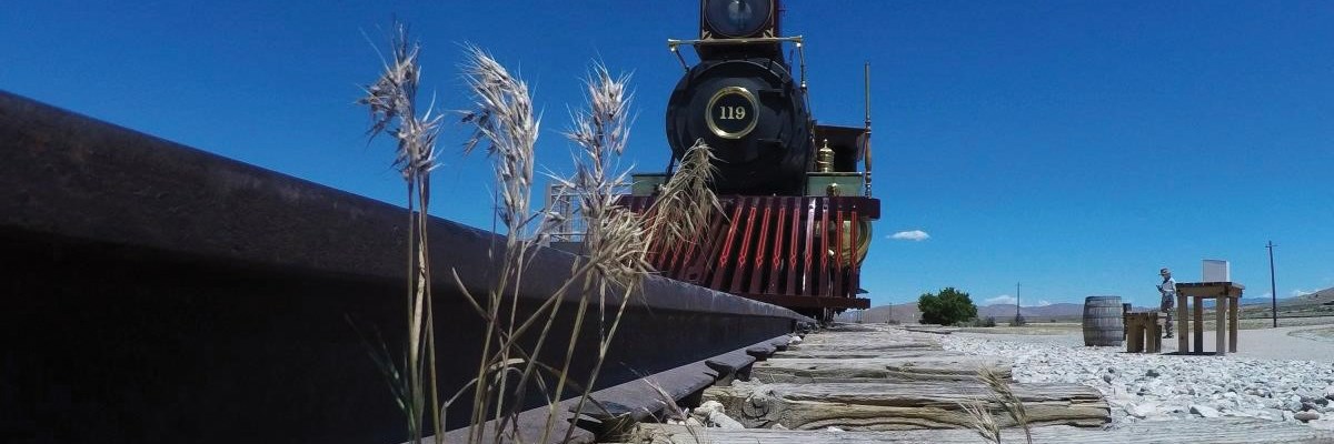 A stand of cheatgrass grows next to railroad tracks. Photo is taken from ground level, looking up at train 119 on the tracks, which are in foreground.