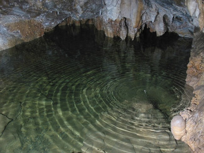 Clear water rippling in a cave pool beneath stalactites.