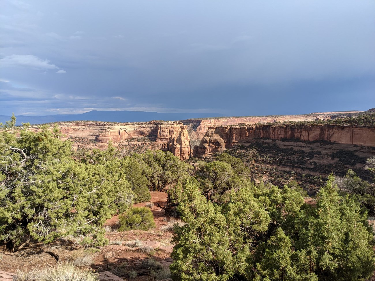Dark clouds over red rock cliffs, juniper in foreground
