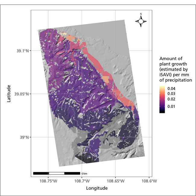 Map of Colorado NM, shaded with different colors indicating precipitation response (iSAVI/mm), ranging from 0.01 to 0.04.