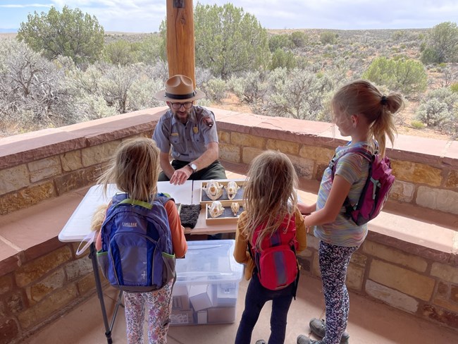 Ranger talks with three children at a table with animal skulls