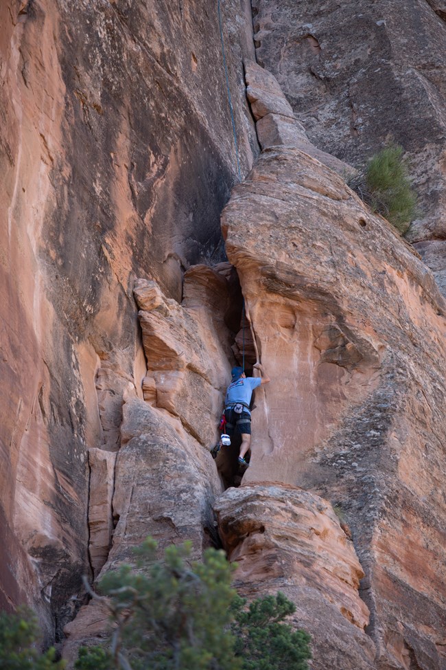 Rock climber ascending a vertical sandstone wall