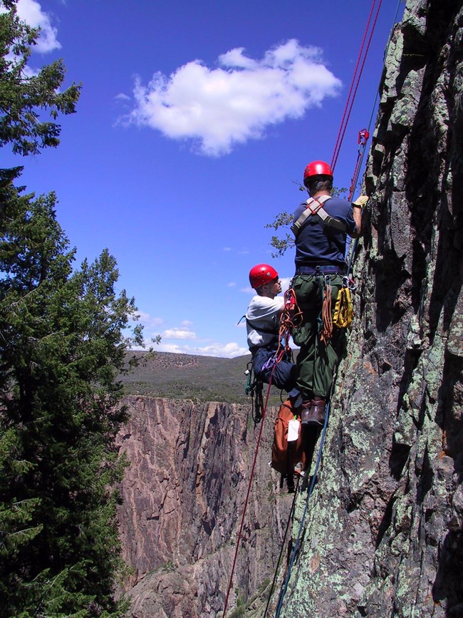 Two climbers scale a vertical canyon wall with ropes and safety gear.