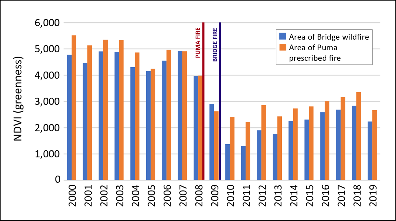 Bar chart showing level of "greenness" after a wildlife and prescribed fire over 20 years