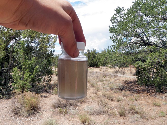 Alt text: Photo of a grassy woodland with a hand holding a jar of brownish liquid in the foreground.