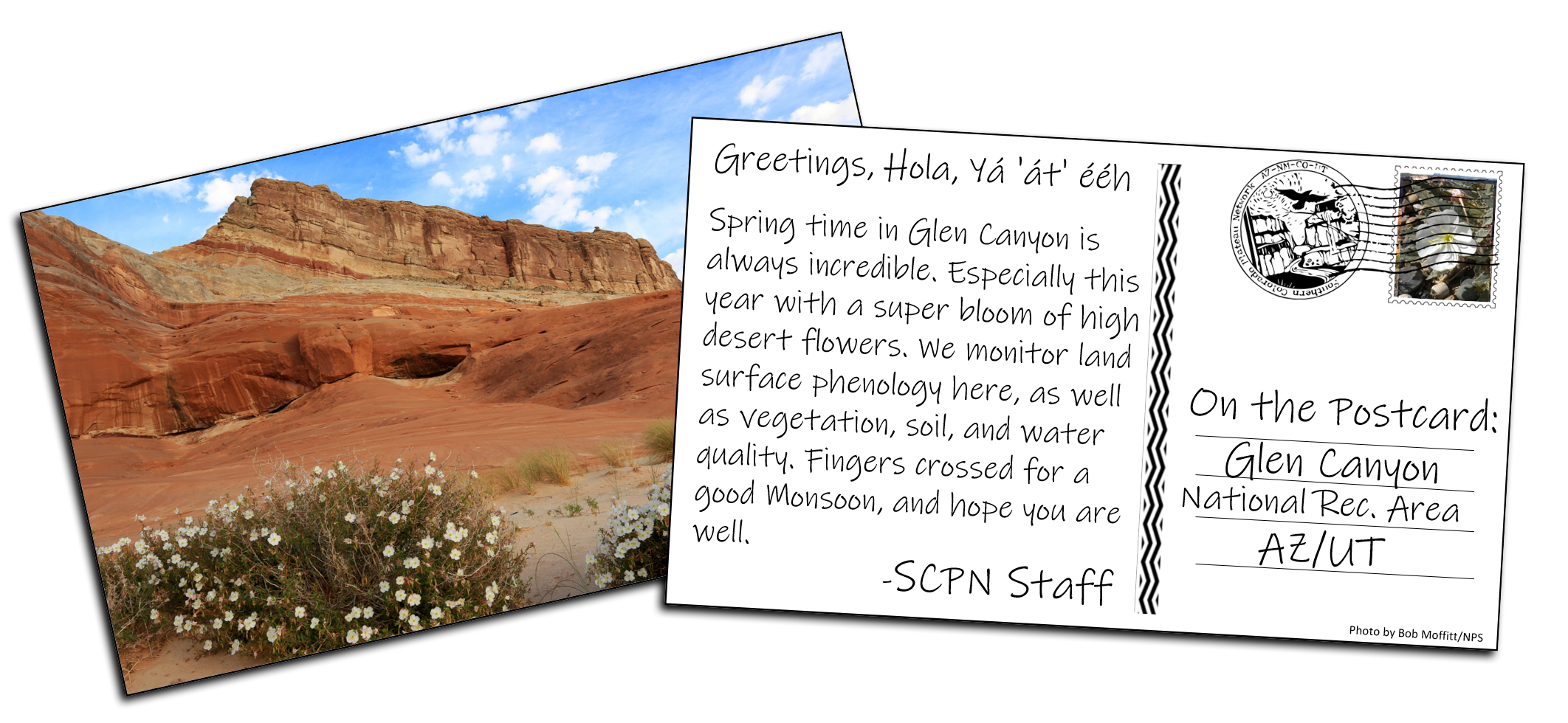 The front and back of a postcard. Front of postcard has an image of a red sandstone cliff wall with several white flowers growing out of the sand at the base of the cliff. Back of postcard has the following message: "Greetings, Hola, Ya'at'eeh. Spring tim