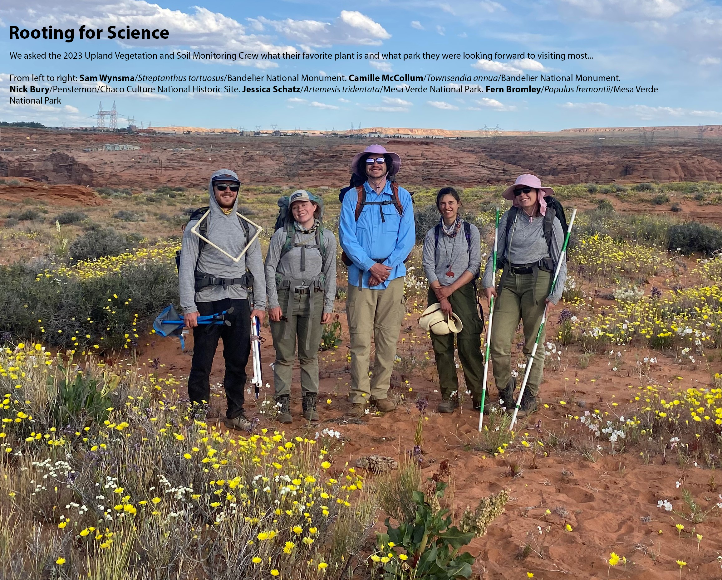 Five smiling people with various vegetation monitoring equipment, surrounded by white and yellow flowers.