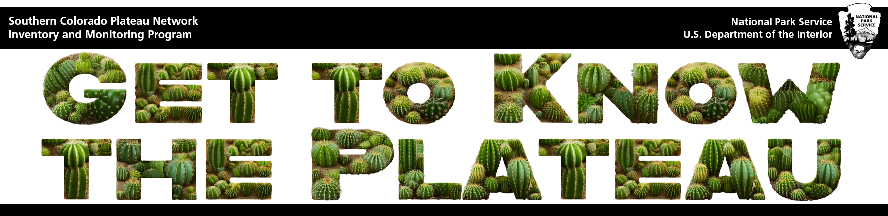 Banner that says "Get to Know the Plateau" where the words are made out of cactus.