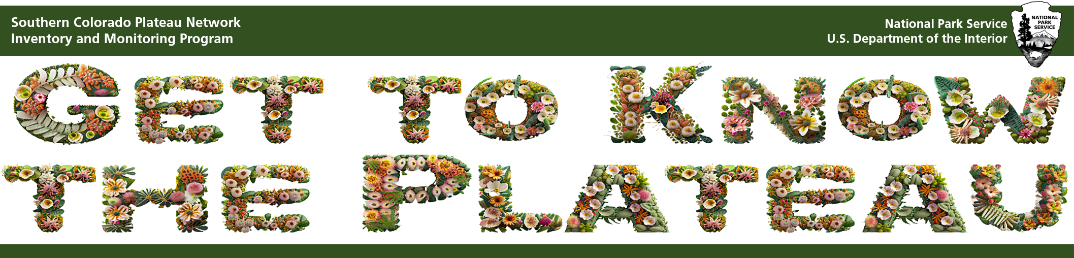 Banner that say "Get to Know the Plateau" using a font made of flowers