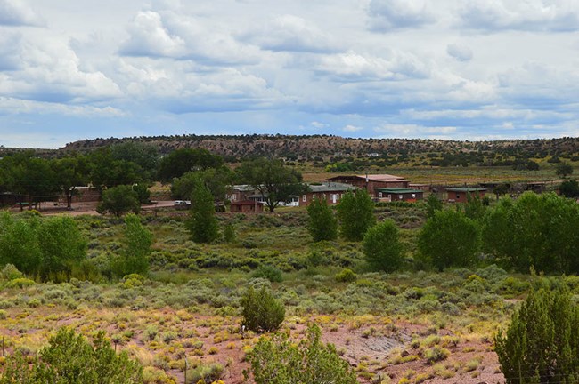 Hubbell Trading Post buildings in a mostly shrubby landscape dotted with trees