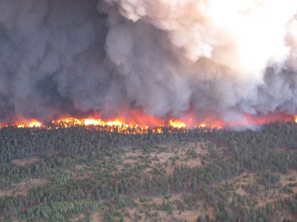 A line of fire burning through a green forest with smoke filled skies.
