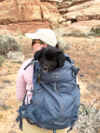 A person with a white ball cap and sunglasses standing in the brush, wearing a green backpack with a black puppy in it.